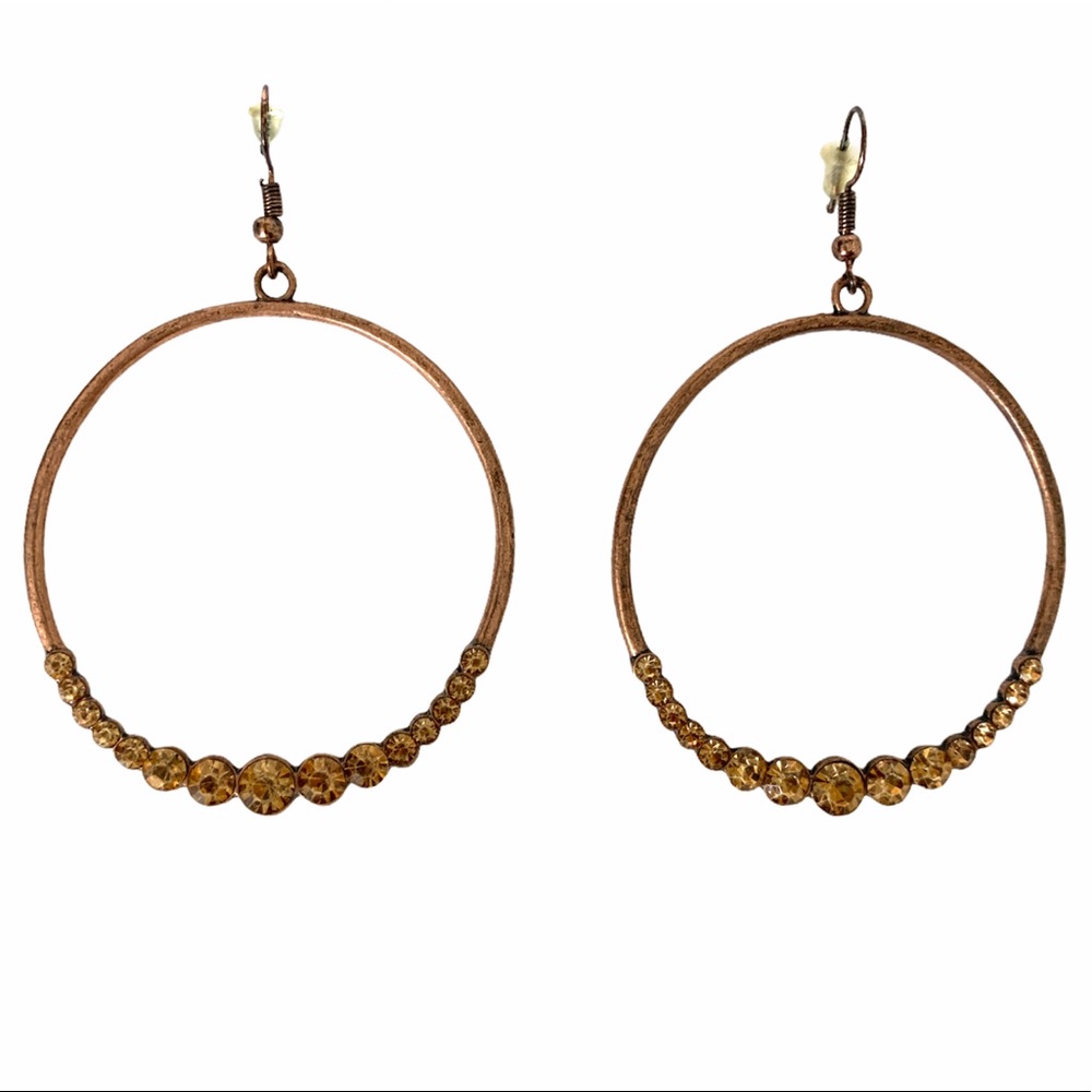 Bronze Circle Hook Earrings
